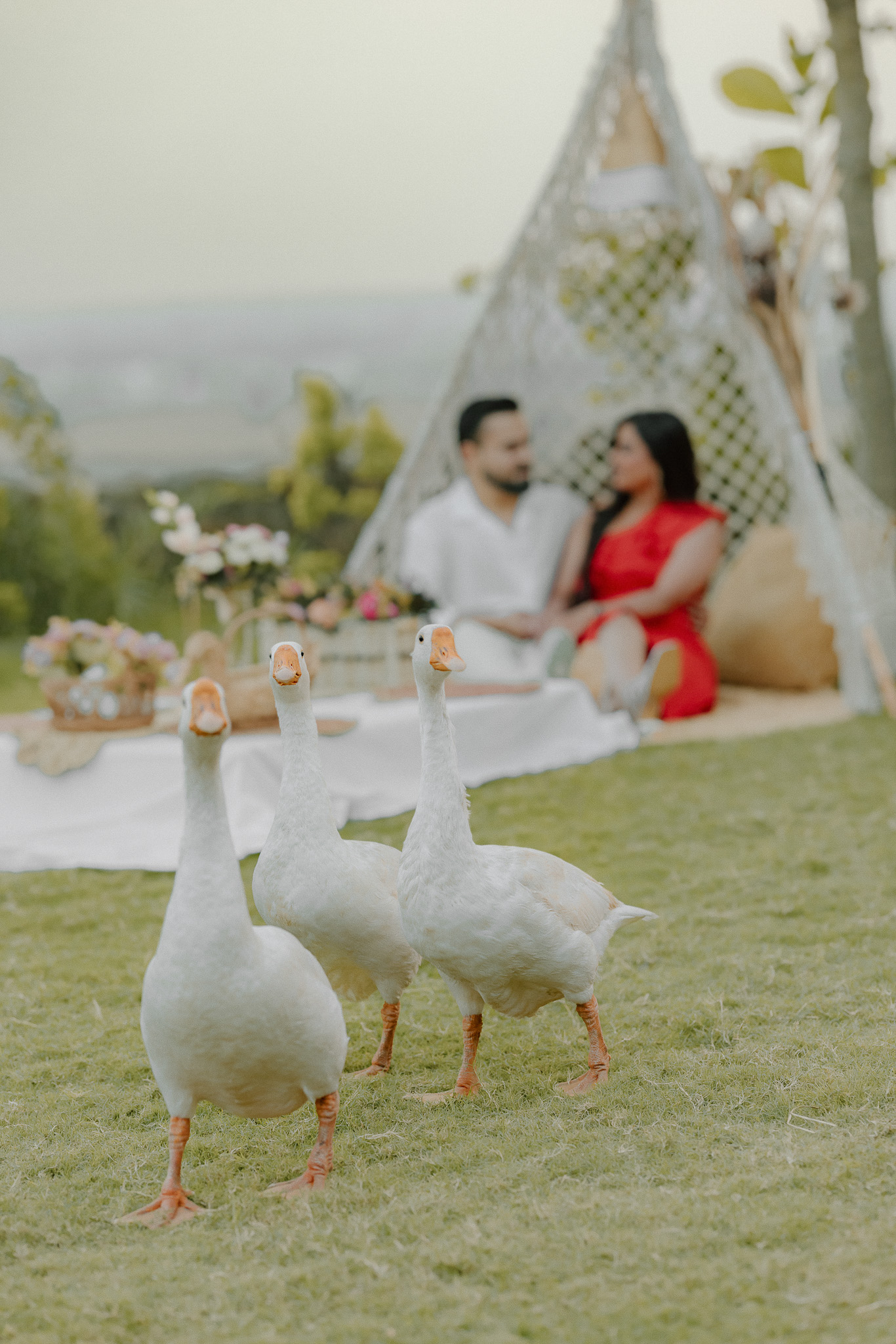 Wedding Photography Image 2 - Story Graph